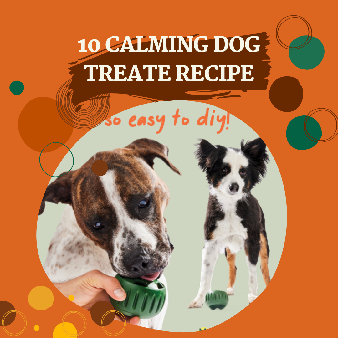 10 Calming Dog Treat Recipe