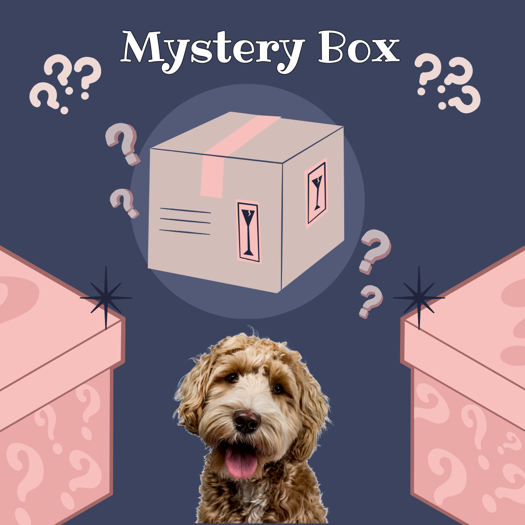 Dog Lover’s Mystery Box