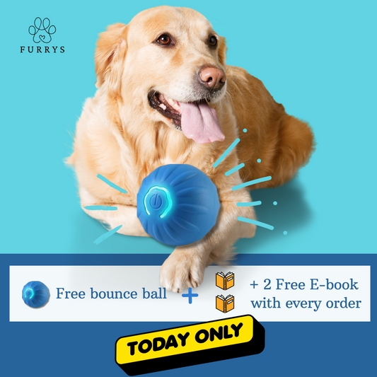 Furrys Fun Bounce Ball