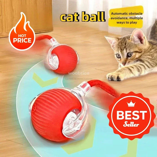 Magic Rolling Cat Ball